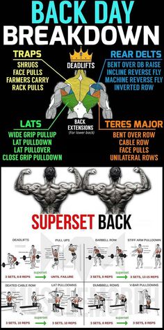 the back day breakdown poster shows how to do an upper and lower body workout