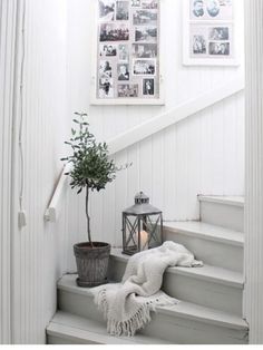 there is a potted plant sitting on the stairs next to a candle and some pictures