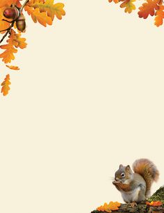 a squirrel sitting on top of a tree branch with leaves and acorns around it