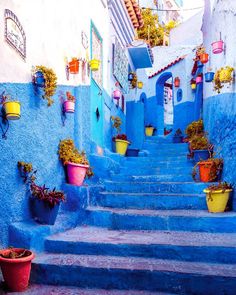 the stairs are painted bright blue and have flower pots on them