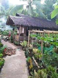 a small house surrounded by trees and plants