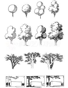 several different types of trees and bushes