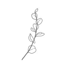 Eucalyptus Line Drawing, Australia Tattoo, Native Tattoos, Feuille Eucalyptus, Plant Tattoo, Simple Line Drawings, Botanical Tattoo, Line Art Print, Wall Art Floral