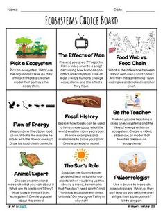 an ecosytems choice board with pictures and text