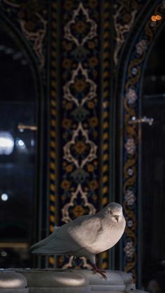 a white bird sitting on top of a pillar