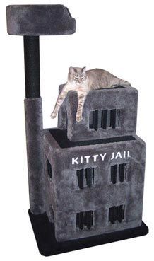 a cat laying on top of a kitty jail