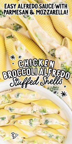 chicken broccoli alfredo stuffed shells with parmesan and mozzarella