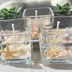 four square glass vases filled with shells and starfish on top of a table