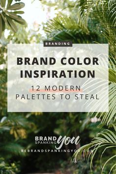 a palm tree with the text brand color inspiration 12 modern palettes to steal on it