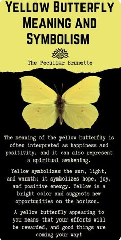 Yellow Butterfly Meaning, Animal Totem Spirit Guides, Butterfly Symbolism, Spiritual Magic, Spirit Animal Meaning, Butterfly Collection