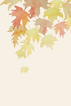 watercolor fall leaves on white background