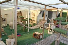 two dogs laying on the grass in a play area with hammocks and trees