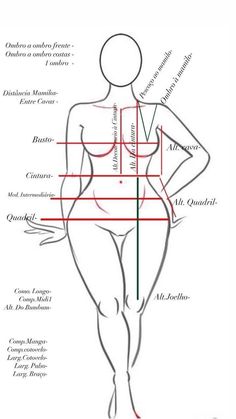 a drawing of the body with different lines and names in each section, including one line