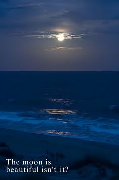 the moon is beautiful isn't it? at night on the beach with people