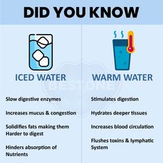 Iced Water vs. Warm Water – which one is better for your health? 🧊🔥 Discover the benefits of each and when to drink them! Whether you're looking to boost metabolism, aid digestion, or stay cool and refreshed, learn how to use both for a healthier lifestyle. #HydrationTips #IcedWater #WarmWater #HealthyHabits #WellnessJourney Cold Water And Hot Water, How Much Water To Drink A Day, Salt Water Benefits, Benefits Of Drinking Warm Water, When To Drink Water, Healthy Dieting, Iced Water