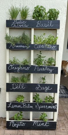 an old pallet is transformed into a vertical herb garden with chalkboard writing on it