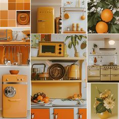 oranges and yellow appliances are arranged in a collage with flowers, plants, and other things