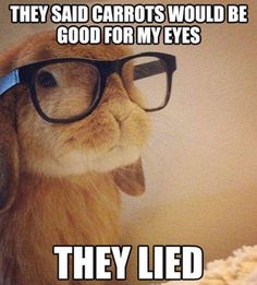 a rabbit wearing glasses with the caption they said carrots would be good for my eyes