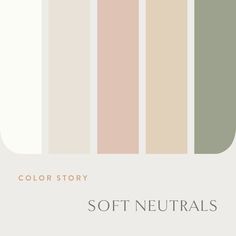 the color palette for soft neutrals