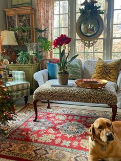 a living room decorated for christmas with a dog laying on the floor next to it