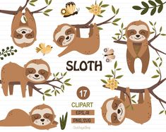 cute sloth clipart set