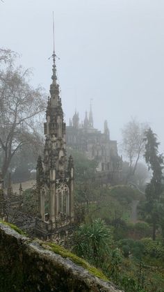 an old castle in the middle of a forest on a foggy, overcast day