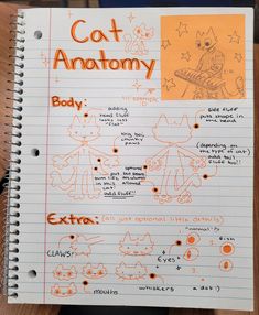 a notebook with some drawings on it and an orange sticker that says cat anatomy