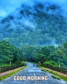 an empty road surrounded by lush green trees and mountains in the distance with blue sky