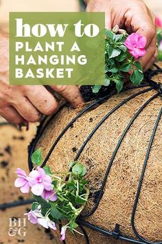 a person is placing flowers on top of a planter with text overlay that reads how to plant a hanging basket