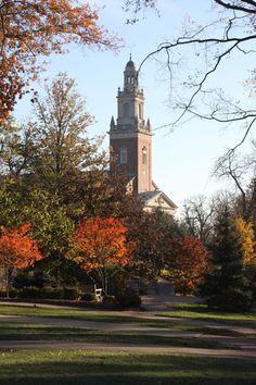 a tall tower with a clock on it's side in the middle of trees