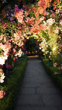 a pathway lined with lots of flowers and greenery