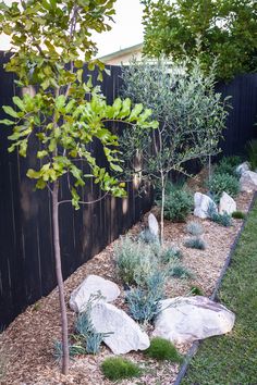 an outdoor garden with rocks and trees