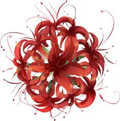 a red flower on a white background with swirls and leaves in the center, as if it were an art work