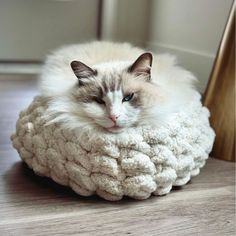 a white cat is sitting on top of a large chunky blanket in the floor