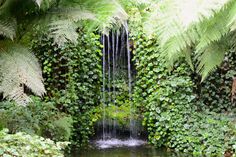 a small waterfall surrounded by lush green plants