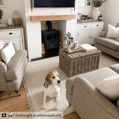 a dog sitting in the middle of a living room