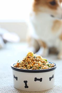 a dog is sitting on the floor next to a bowl of food that has been placed in front of it