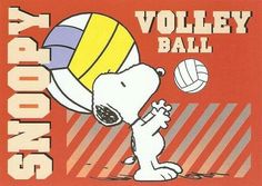 an advertisement for a volley ball game with a cartoon dog catching a ball in the air