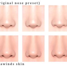 the nose is shown with different angles and sizes