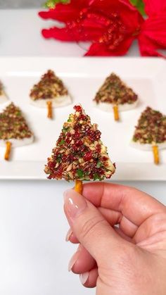 someone is holding up a tiny christmas tree on a stick with other small trees in the background