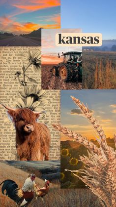 a collage of photos with the words kansas written on them and pictures of farm animals