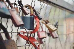 many padlocks are attached to the fence with red ribbons and locks on them