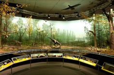 an image of the inside of a museum with dinosaurs and birds on display in it