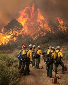 firefighters are standing in front of a large fire that is burning through the trees and brush