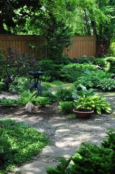 a garden with lots of green plants and trees