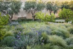 a bench sitting in the middle of a lush green field with purple flowers and trees