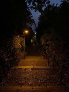 stairs leading up to the top of a hill at night with street lamps on either side