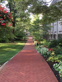 a red brick walkway surrounded by trees and flowers