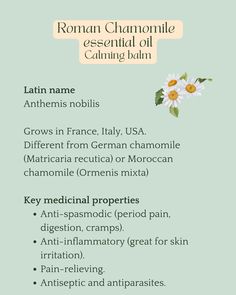 🌼 Roman Chamomile Essential Oil 🌼 🌿 A few weeks ago, I shared some essential oils for meditation and had several questions about Roman Chamomile. It’s not a common oil in Sweden, possibly due to its cost or its unique scent—which is quite different from the chamomile tea most of us know. Personally, it took me a while to truly appreciate its fragrance, but I’ve always found deep emotional relief from its calming properties. 💛 Why I love it? 👧 Roman Chamomile is one of the safest essential... Roman Chamomile Essential Oil Benefits, Chamomile Essential Oil Benefits, Essential Oil Benefits, Period Pain, Chamomile Tea, Oil Benefits