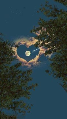 a heart shaped object in the sky with trees around it and clouds behind it at night